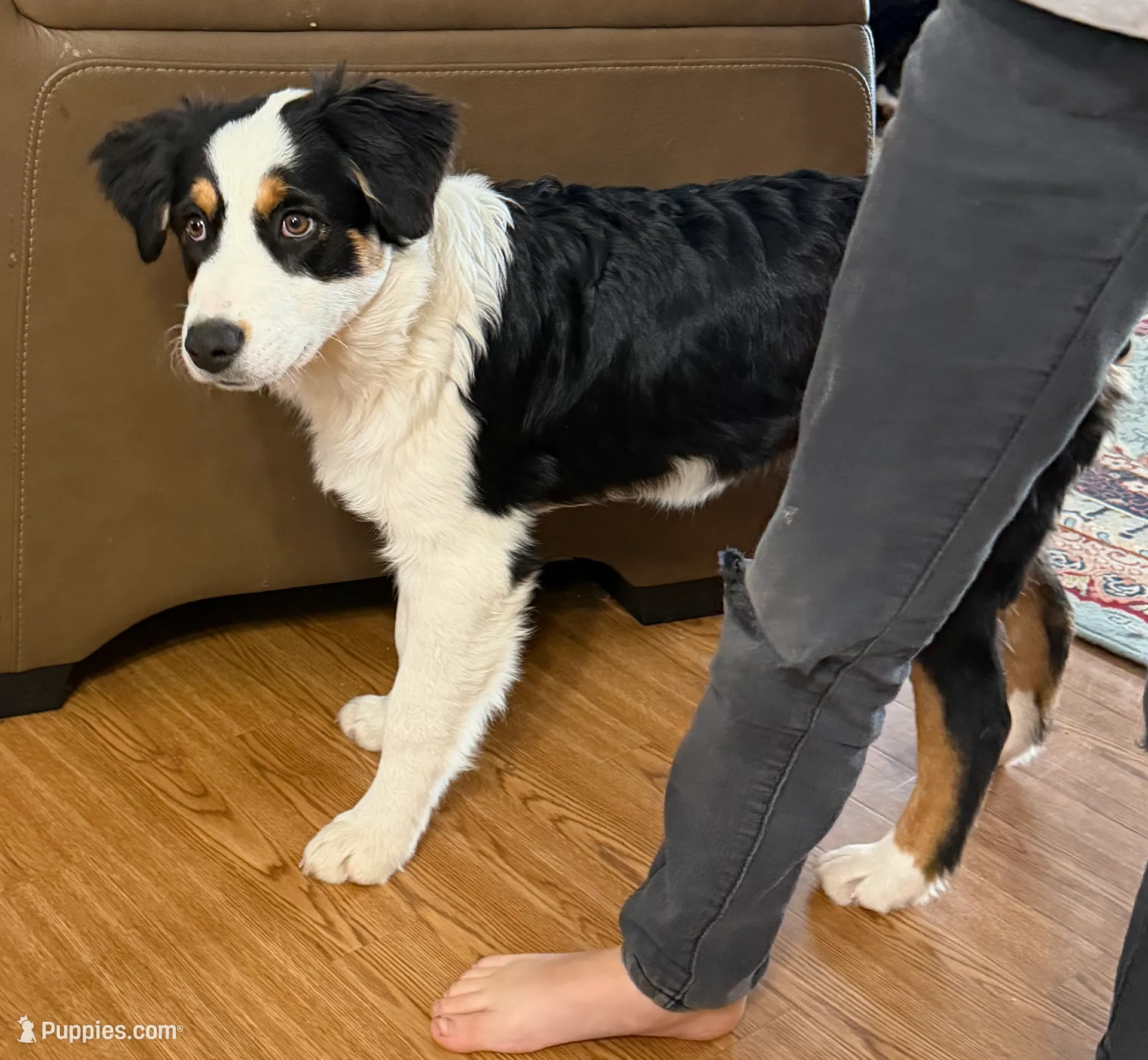 processed/b779fcf8-4e63-4938-b196-d290afd23924/listing/4b0307c0-bb94-4631-be44-e7b19f922099/c2a303df-c050-432b-8cea-fbba821cf688