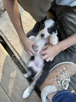 processed/b779fcf8-4e63-4938-b196-d290afd23924/listing/4b0307c0-bb94-4631-be44-e7b19f922099/fa4db0ea-2563-473e-99eb-34ede54ba0ed