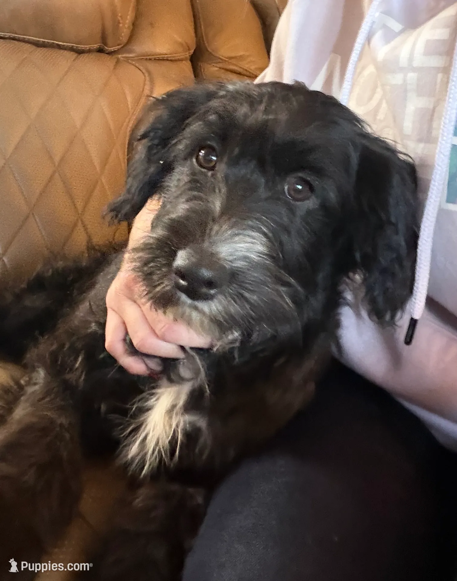 processed/b779fcf8-4e63-4938-b196-d290afd23924/listing/c915e7b7-f93d-4be8-8602-9f8093a33df1/4fa29e67-2543-45d9-af15-748cc27f93e2