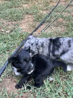 processed/b779fcf8-4e63-4938-b196-d290afd23924/listing/c915e7b7-f93d-4be8-8602-9f8093a33df1/5a48f5e0-ac78-4bae-a207-667a61a0f736