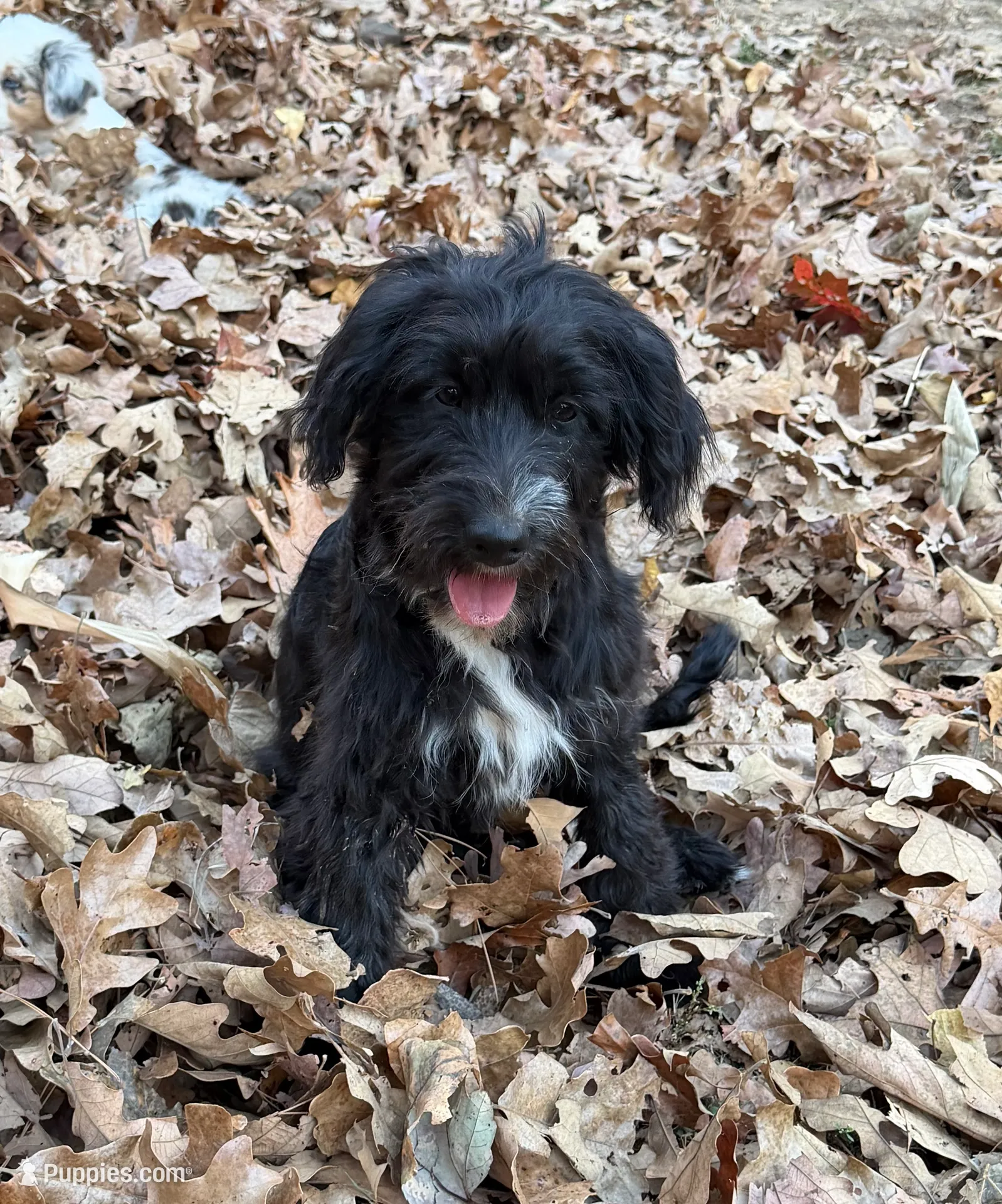 processed/b779fcf8-4e63-4938-b196-d290afd23924/listing/c915e7b7-f93d-4be8-8602-9f8093a33df1/7f55645c-720a-4841-b277-5f87a2b2133e