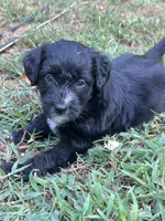 processed/b779fcf8-4e63-4938-b196-d290afd23924/listing/c915e7b7-f93d-4be8-8602-9f8093a33df1/855a57b6-50b8-4959-bf14-ecd23e5884bd