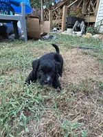 processed/b779fcf8-4e63-4938-b196-d290afd23924/listing/c915e7b7-f93d-4be8-8602-9f8093a33df1/91aa913f-2109-49c6-b8e4-b996bb3c8a83