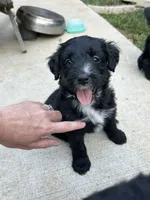 processed/b779fcf8-4e63-4938-b196-d290afd23924/listing/c915e7b7-f93d-4be8-8602-9f8093a33df1/98e00acc-a231-4910-8c74-e7880c064ab8