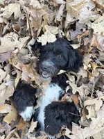 processed/b779fcf8-4e63-4938-b196-d290afd23924/listing/c915e7b7-f93d-4be8-8602-9f8093a33df1/a8210953-2bb4-4f52-b72c-d3e6d8ff7be4