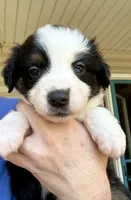 processed/b779fcf8-4e63-4938-b196-d290afd23924/listing/e996a506-83a9-4c96-aebd-ea032ce0964a/21e1b2d2-8661-4aa2-8127-9b1857392274