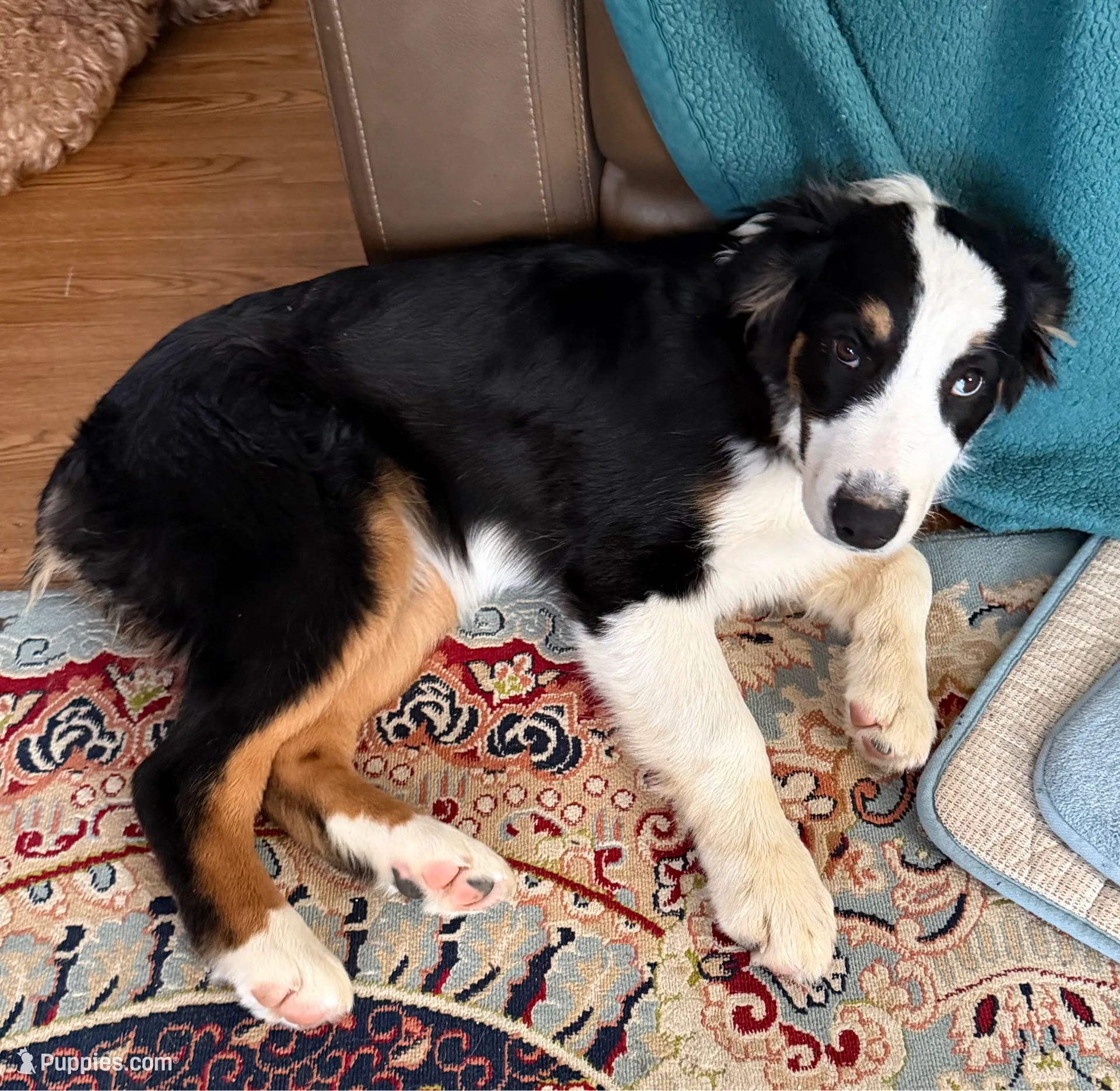 processed/b779fcf8-4e63-4938-b196-d290afd23924/listing/e996a506-83a9-4c96-aebd-ea032ce0964a/99d79686-017a-4c8c-8e8a-a666e7f890a5