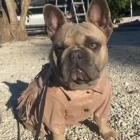 processed/b77dd193-83c1-421a-bf4c-17c194d12acb/facility/14fe86ee-be21-4ebd-887f-8fea42c47d69