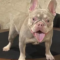 processed/b77dd193-83c1-421a-bf4c-17c194d12acb/facility/460a81af-9cf4-407f-a30f-bf7b01f4a24a