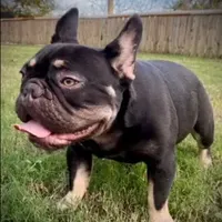 processed/b77dd193-83c1-421a-bf4c-17c194d12acb/facility/80b22727-60f9-4720-9e62-869a02fb981f