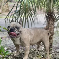 processed/b77dd193-83c1-421a-bf4c-17c194d12acb/facility/9b9e098e-2863-4a31-846b-83070981a201