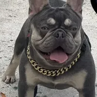 processed/b77dd193-83c1-421a-bf4c-17c194d12acb/facility/db4f91f4-4d35-48e0-9d2b-aac626f364c3