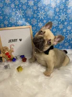 processed/b77dd193-83c1-421a-bf4c-17c194d12acb/listing/ef514d10-da14-46b3-98e9-096204ef3918/08a34b8c-88ee-4c97-ba19-73148b1e82f5