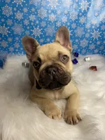 processed/b77dd193-83c1-421a-bf4c-17c194d12acb/listing/ef514d10-da14-46b3-98e9-096204ef3918/3b16991c-a0c4-46fb-8606-08ece78430eb