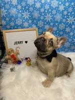 processed/b77dd193-83c1-421a-bf4c-17c194d12acb/listing/ef514d10-da14-46b3-98e9-096204ef3918/e0c9030e-5b01-400c-8f26-b87f6cc3d363