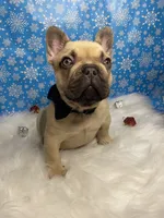 processed/b77dd193-83c1-421a-bf4c-17c194d12acb/listing/ef514d10-da14-46b3-98e9-096204ef3918/eb58759e-af2d-44d0-86b6-c23f788381a9