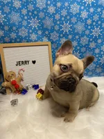 processed/b77dd193-83c1-421a-bf4c-17c194d12acb/listing/ef514d10-da14-46b3-98e9-096204ef3918/f41be023-b96e-4921-84fe-9d2b1da667c4