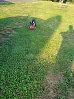 processed/b77e3d50-20b9-45a8-b335-f9db1664f4de/facility/3f2bcec0-063b-493c-8f55-416958d27dc2