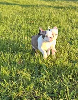 processed/b77e3d50-20b9-45a8-b335-f9db1664f4de/facility/6ad77d94-1613-4011-8a8f-45ba02ae98c6