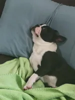 processed/b77e3d50-20b9-45a8-b335-f9db1664f4de/facility/a8c3632e-64dd-47fe-b435-ce7303a2a27f