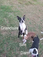 processed/b77e3d50-20b9-45a8-b335-f9db1664f4de/facility/b3195dcd-b1ca-4c23-bcac-4d100d6c9462