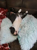 processed/b77e3d50-20b9-45a8-b335-f9db1664f4de/facility/cf746bd7-6e73-40b8-a543-aed77e4b1204