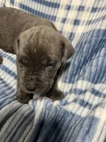 processed/b780f577-7dd9-4c56-9c0b-a2c4f2023218/listing/12488850-39c1-4664-b1bd-ebd31efaf943/3593f0ce-430b-4413-9b42-f975c9ea9ec2