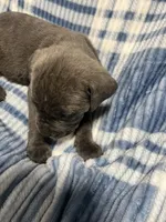 processed/b780f577-7dd9-4c56-9c0b-a2c4f2023218/listing/12488850-39c1-4664-b1bd-ebd31efaf943/3bc85eb6-3ced-4c8d-a8a5-79006a3d5d3d