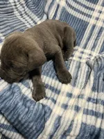 processed/b780f577-7dd9-4c56-9c0b-a2c4f2023218/listing/12488850-39c1-4664-b1bd-ebd31efaf943/7a42d63d-82a4-4ade-8a68-44453fd3ffed