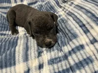 processed/b780f577-7dd9-4c56-9c0b-a2c4f2023218/listing/12488850-39c1-4664-b1bd-ebd31efaf943/8404123b-b23e-44b4-b3a9-3df9d3c1575e