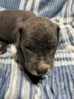 processed/b780f577-7dd9-4c56-9c0b-a2c4f2023218/listing/12488850-39c1-4664-b1bd-ebd31efaf943/8ac1b175-291a-464e-b4df-e5f93af50e7e