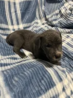 processed/b780f577-7dd9-4c56-9c0b-a2c4f2023218/listing/12488850-39c1-4664-b1bd-ebd31efaf943/b73485b5-1478-4d50-918e-192b366d6b17