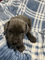 processed/b780f577-7dd9-4c56-9c0b-a2c4f2023218/listing/12488850-39c1-4664-b1bd-ebd31efaf943/db915982-2675-49ec-b8c7-7b4211529765