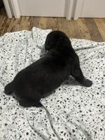 processed/b780f577-7dd9-4c56-9c0b-a2c4f2023218/listing/98fbf7f6-795a-4073-b01e-1cb8bd531d80/03e9a788-3439-4a7c-abec-41aea2f54fa4