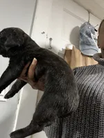 processed/b780f577-7dd9-4c56-9c0b-a2c4f2023218/listing/98fbf7f6-795a-4073-b01e-1cb8bd531d80/0d1afb97-9298-400c-9ed9-41a83ef8a2df