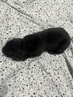 processed/b780f577-7dd9-4c56-9c0b-a2c4f2023218/listing/98fbf7f6-795a-4073-b01e-1cb8bd531d80/1989a2d2-8644-44b4-8168-1ef3bb2ac067