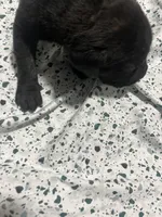 processed/b780f577-7dd9-4c56-9c0b-a2c4f2023218/listing/98fbf7f6-795a-4073-b01e-1cb8bd531d80/21b956c6-8f1c-4edb-9a32-c302fae50883