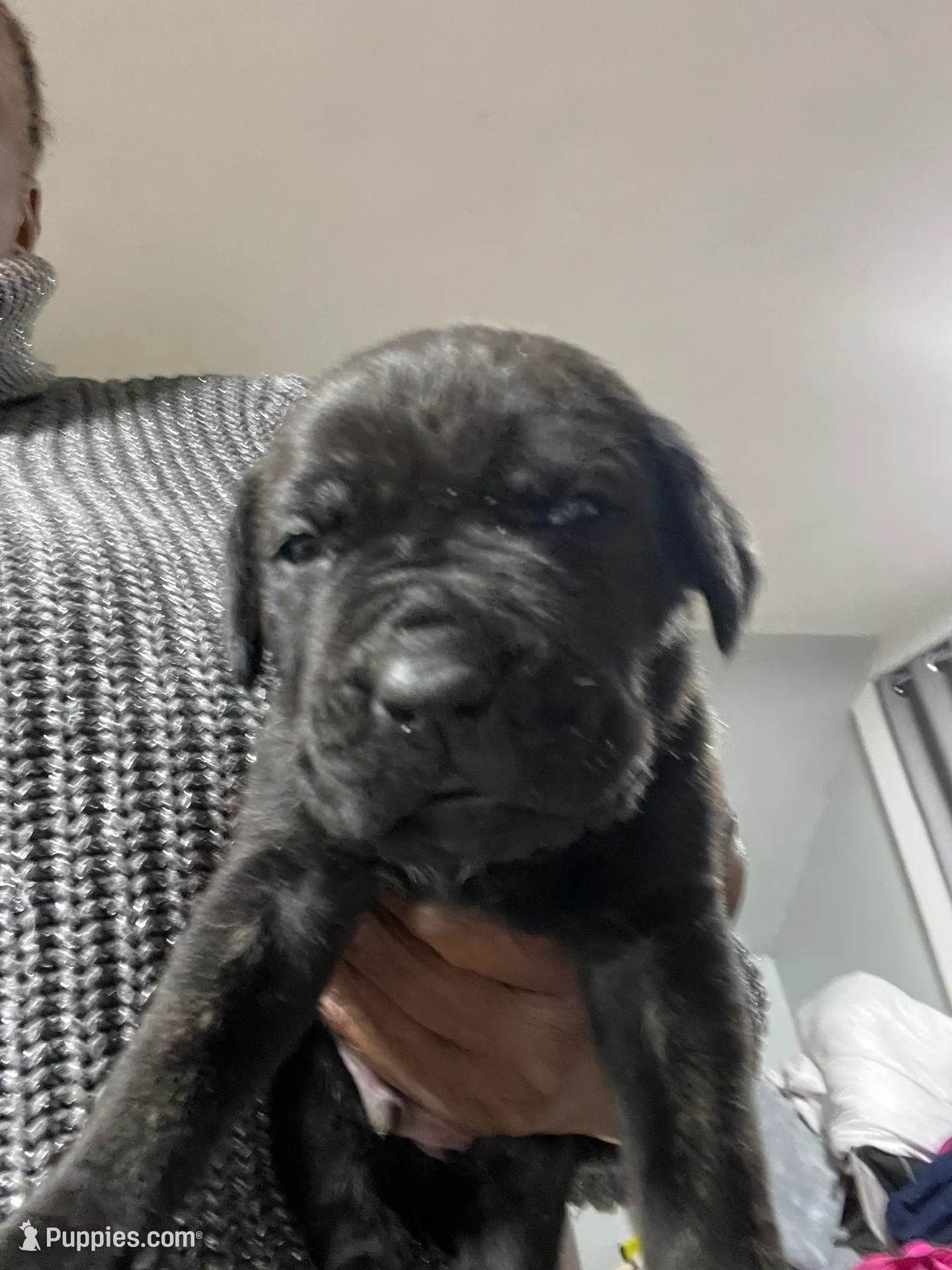 processed/b780f577-7dd9-4c56-9c0b-a2c4f2023218/listing/98fbf7f6-795a-4073-b01e-1cb8bd531d80/cb93816c-94a1-4bff-bd10-8b32d443e476