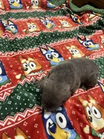 processed/b780f577-7dd9-4c56-9c0b-a2c4f2023218/listing/bad12b3d-d08d-41d9-b6e0-4dfcc3e77a1e/0a930544-6ba3-46f8-9ae8-e50f745eaeb1