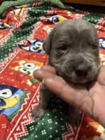 processed/b780f577-7dd9-4c56-9c0b-a2c4f2023218/listing/bad12b3d-d08d-41d9-b6e0-4dfcc3e77a1e/174f05bf-d182-4042-be1d-07f727fc940f