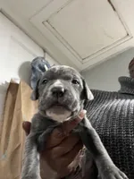 processed/b780f577-7dd9-4c56-9c0b-a2c4f2023218/listing/bad12b3d-d08d-41d9-b6e0-4dfcc3e77a1e/17b91c6a-92b0-4295-9b42-e4956d0ace9c