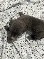 processed/b780f577-7dd9-4c56-9c0b-a2c4f2023218/listing/bad12b3d-d08d-41d9-b6e0-4dfcc3e77a1e/3d95f932-07ff-46de-adae-744d864da5a6