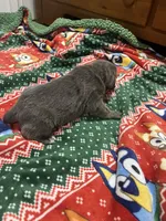 processed/b780f577-7dd9-4c56-9c0b-a2c4f2023218/listing/bad12b3d-d08d-41d9-b6e0-4dfcc3e77a1e/69483ebe-f86a-43e8-82d7-72f9f9798006