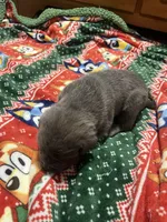 processed/b780f577-7dd9-4c56-9c0b-a2c4f2023218/listing/bad12b3d-d08d-41d9-b6e0-4dfcc3e77a1e/ae8c2c8c-8ae7-4158-977d-c1a03150319b