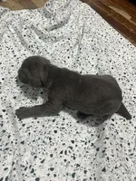 processed/b780f577-7dd9-4c56-9c0b-a2c4f2023218/listing/bad12b3d-d08d-41d9-b6e0-4dfcc3e77a1e/db655bb4-83aa-4d99-821e-87c9573baaf3