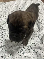 processed/b780f577-7dd9-4c56-9c0b-a2c4f2023218/listing/cdf67534-5c42-4b9e-be1a-09538ca3ce2a/05a0135e-8a35-4040-af0c-08d71666a9a7