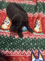 processed/b780f577-7dd9-4c56-9c0b-a2c4f2023218/listing/cdf67534-5c42-4b9e-be1a-09538ca3ce2a/336ccc46-4dec-4515-bfa4-61aa219fda75