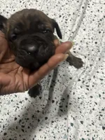 processed/b780f577-7dd9-4c56-9c0b-a2c4f2023218/listing/cdf67534-5c42-4b9e-be1a-09538ca3ce2a/62b0a955-bdca-4900-9435-8d5485148f94