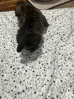 processed/b780f577-7dd9-4c56-9c0b-a2c4f2023218/listing/cdf67534-5c42-4b9e-be1a-09538ca3ce2a/b0e084af-1b36-447e-a7bc-746779076a56