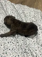 processed/b780f577-7dd9-4c56-9c0b-a2c4f2023218/listing/cdf67534-5c42-4b9e-be1a-09538ca3ce2a/c9afbd98-f101-4a31-89a4-def647ec8ee9